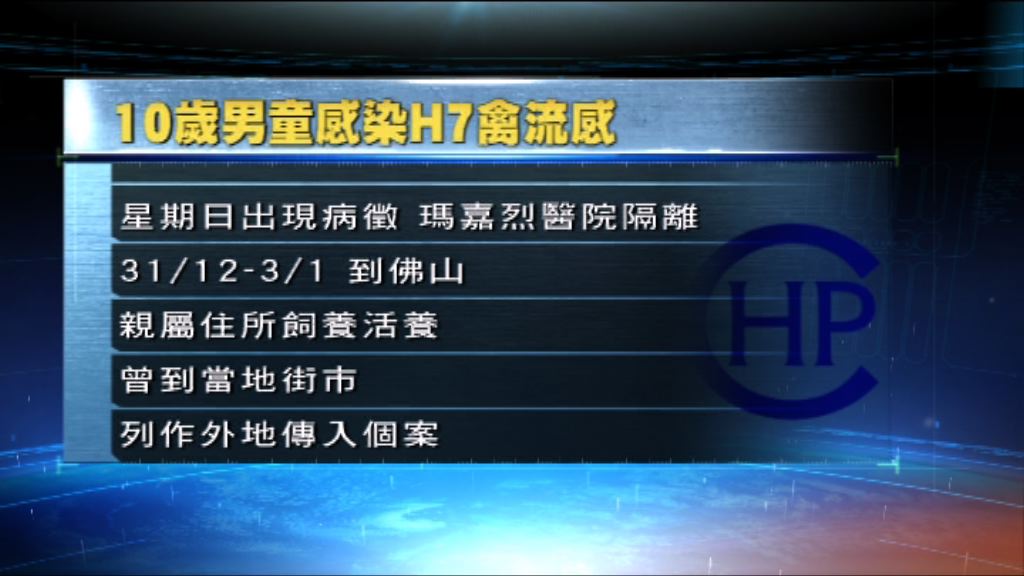 10歲男童確診感染H7禽流感