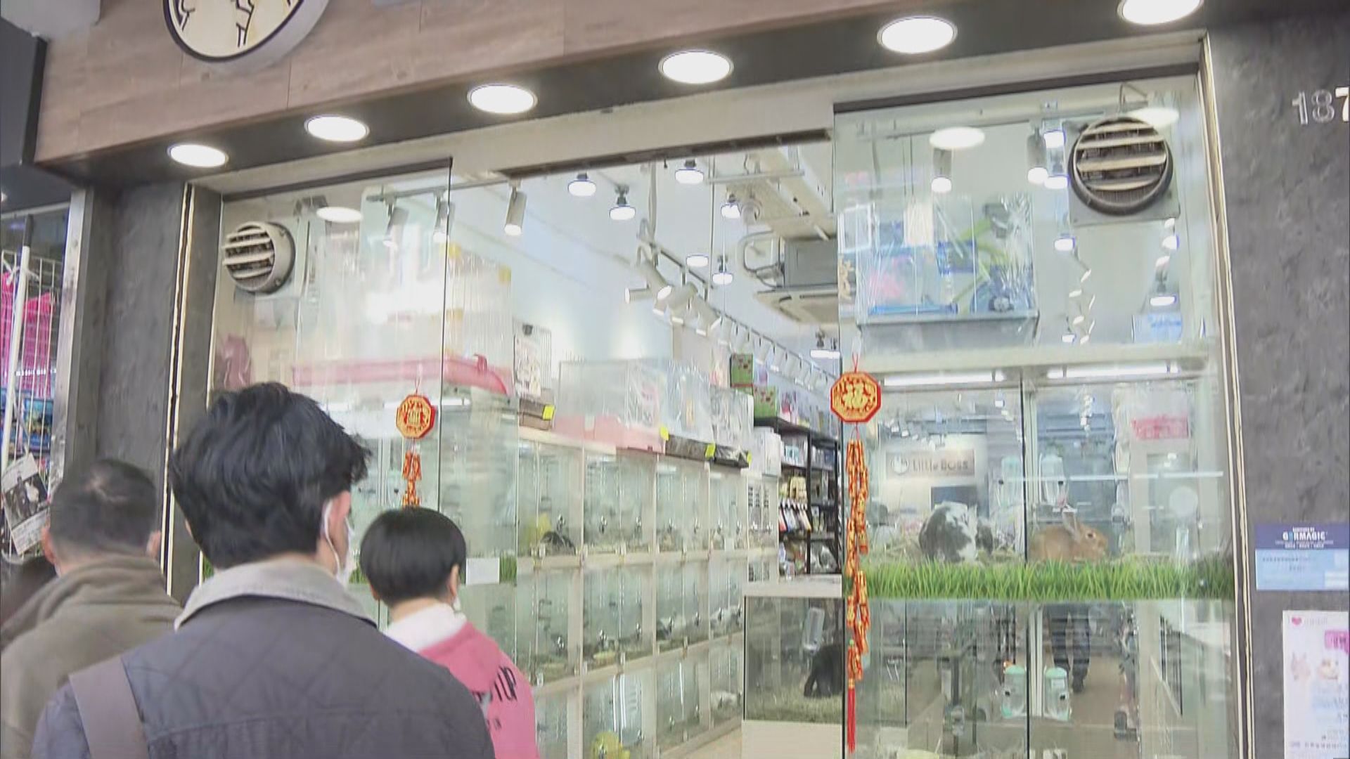 全港大部分售賣倉鼠寵物店恢復營業