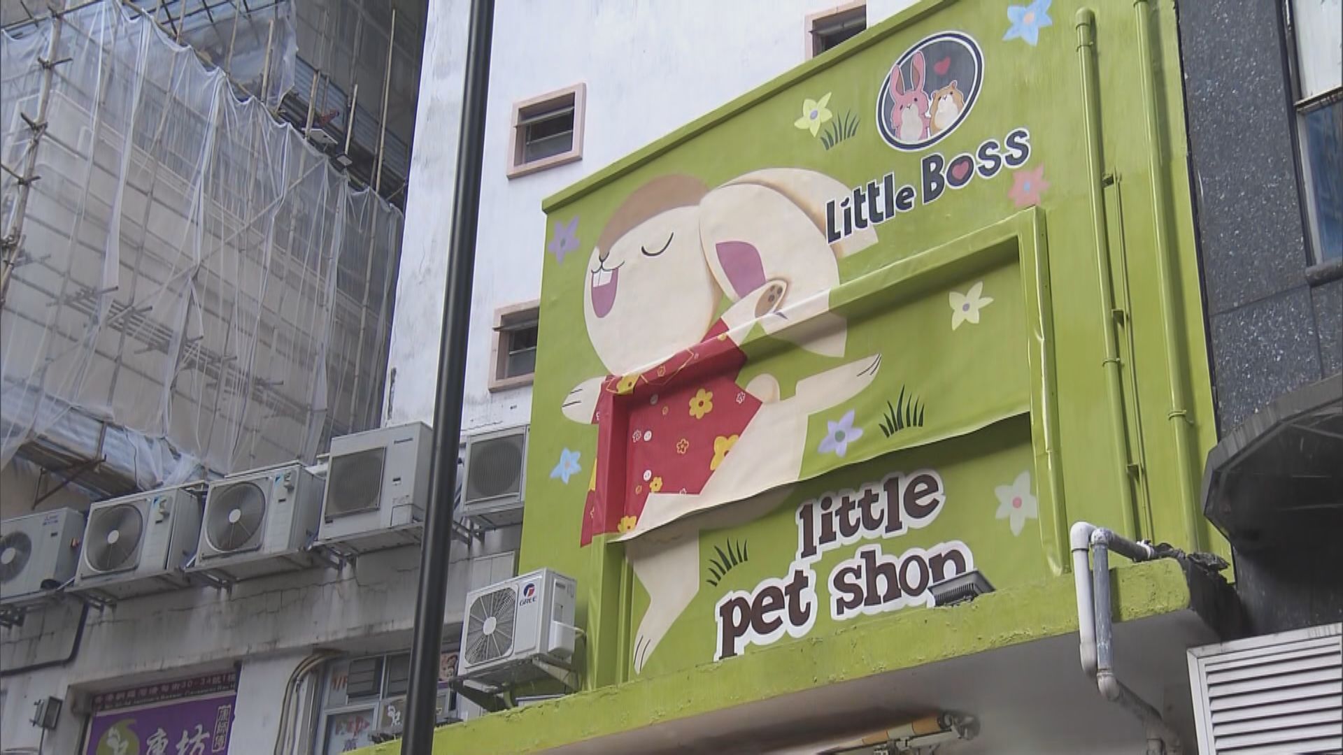 寵物店發現Delta新突變病毒　袁國勇：未知傳播力及毒力