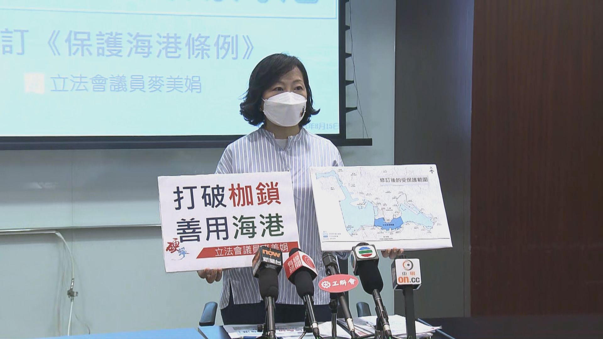 麥美娟將提私人條例草案修訂《保護海港條例》
