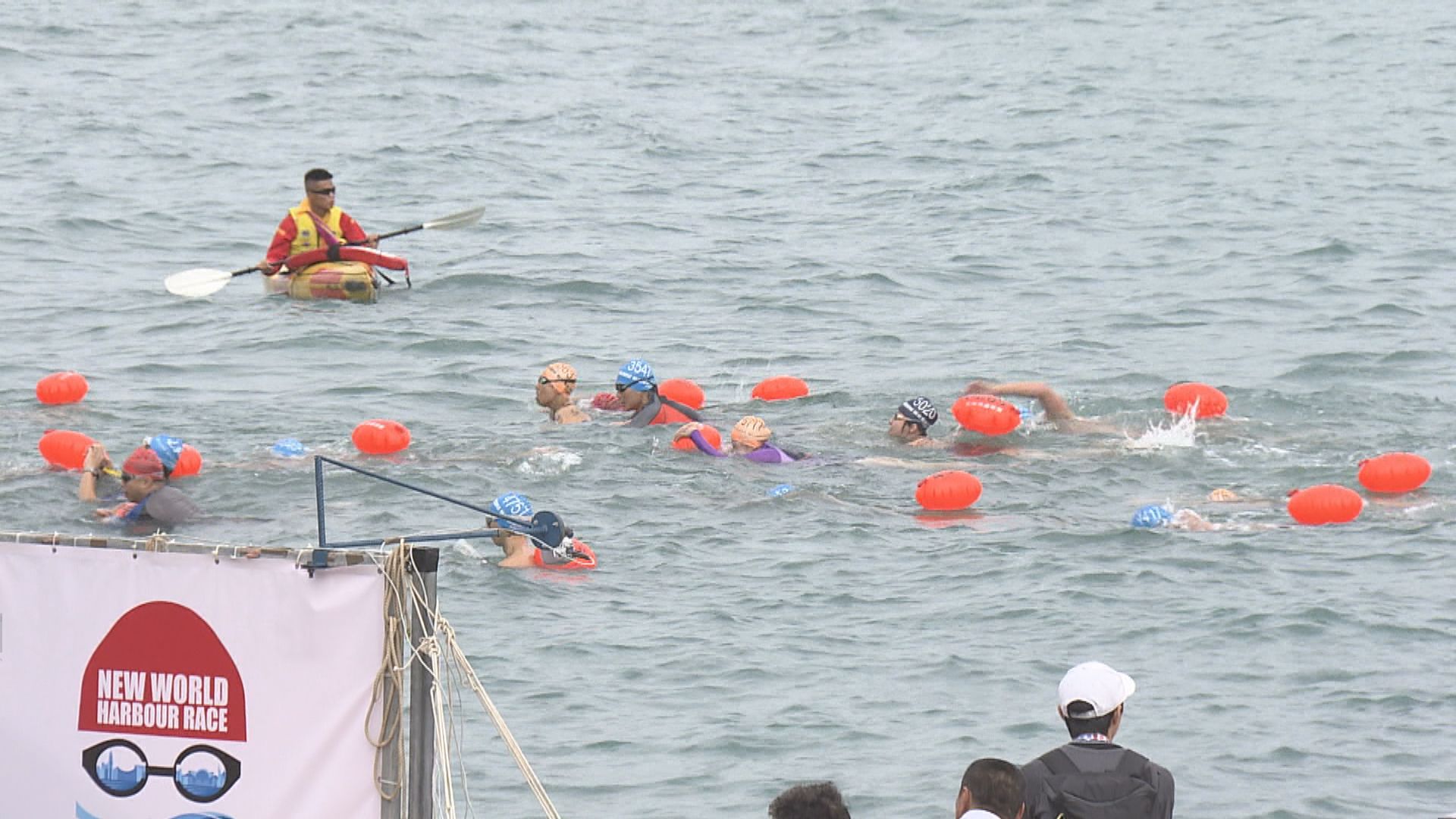 維港泳下月12日復辦　即日起可報名　泳手須已打兩針