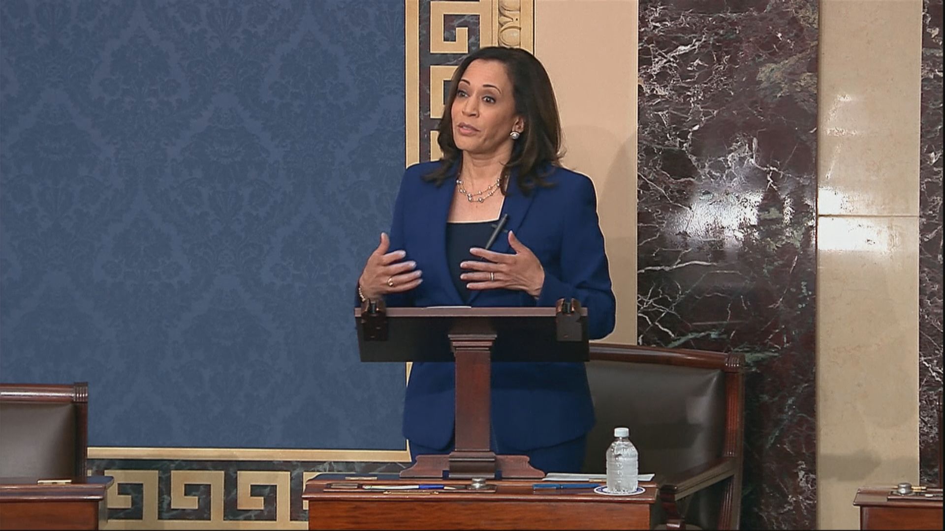 賀錦麗曾參加黨內初選　但未能維持聲勢退選