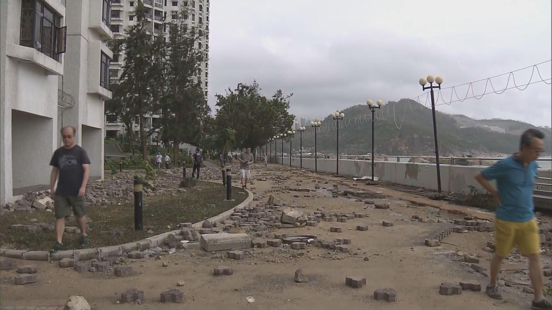 杏花邨受山竹嚴重破壞