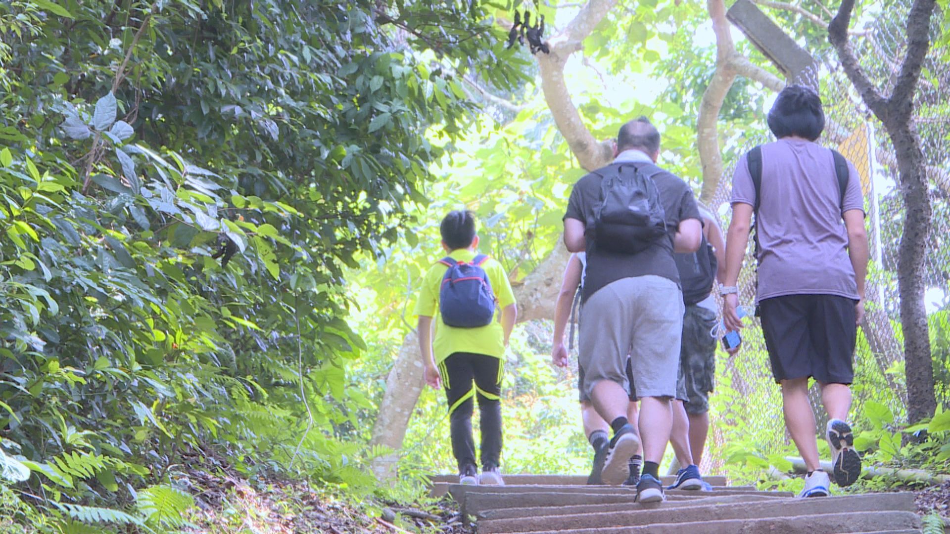 【行山注意】疫情下攀山事故大增　消防指市民輕視行山風險