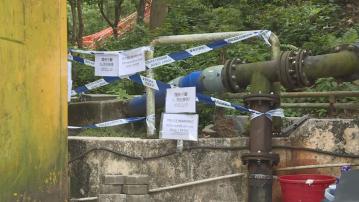 警方接報玉桂山日內發生至少兩宗蜜蜂螫人事件