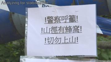 鴨脷洲玉桂山日內兩宗蜜蜂螫人　攀山專家指遭攻擊時要保護身體暴露位置