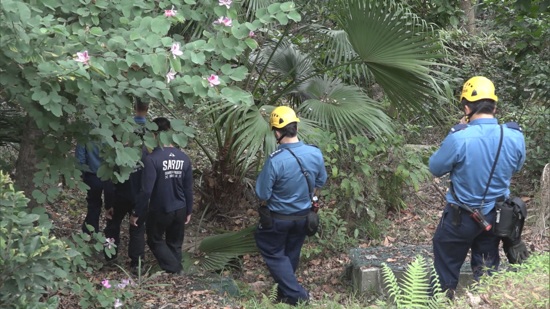消防及警方搜救失蹤行山男子
