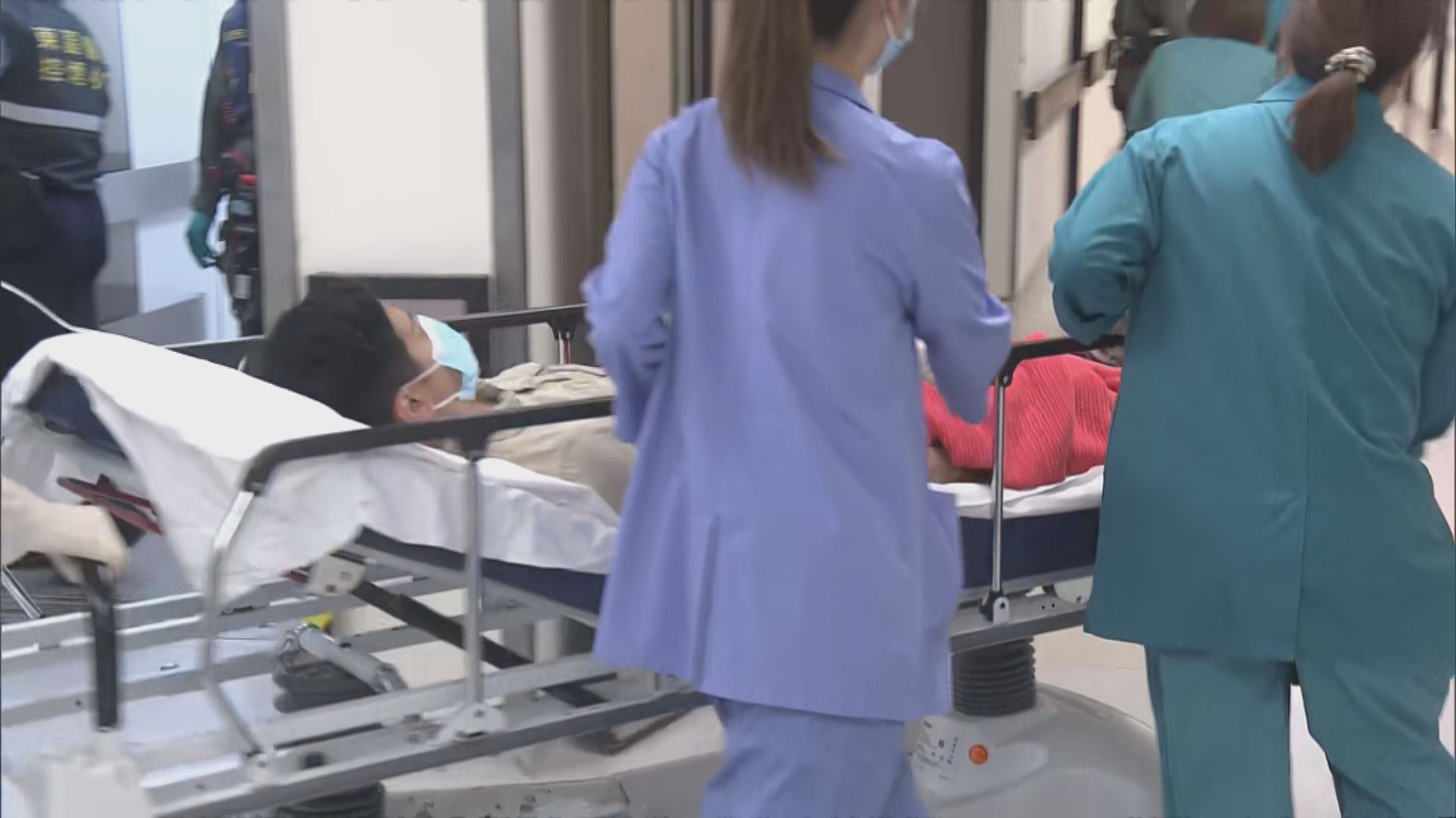 三名漁護署職員在清水灣遭蜜蜂螫傷　送院治理