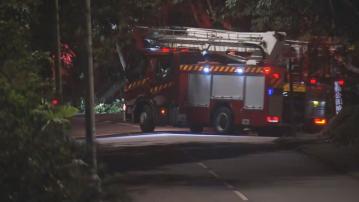 一名男子寒冷天氣下大帽山迷路 多部門通宵搜救