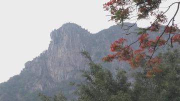 內地男子獅子山攀岩失足墮坡送院亡