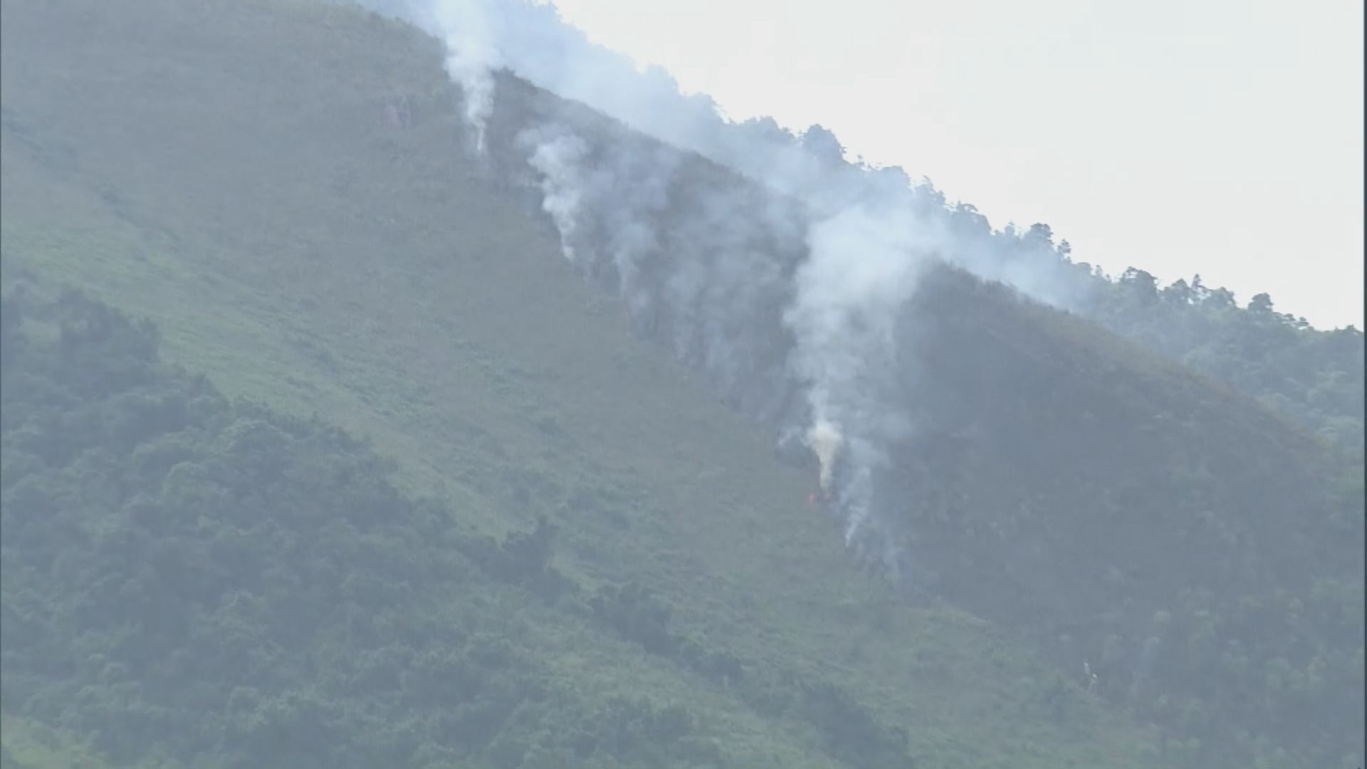 林村郊野公園重陽現山火 未波及民居