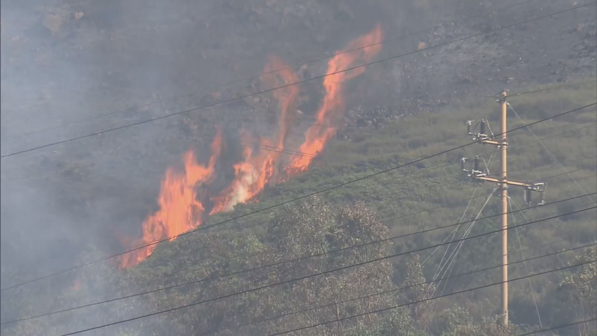 錦田雞公嶺山火焚燒二十多小時後救熄