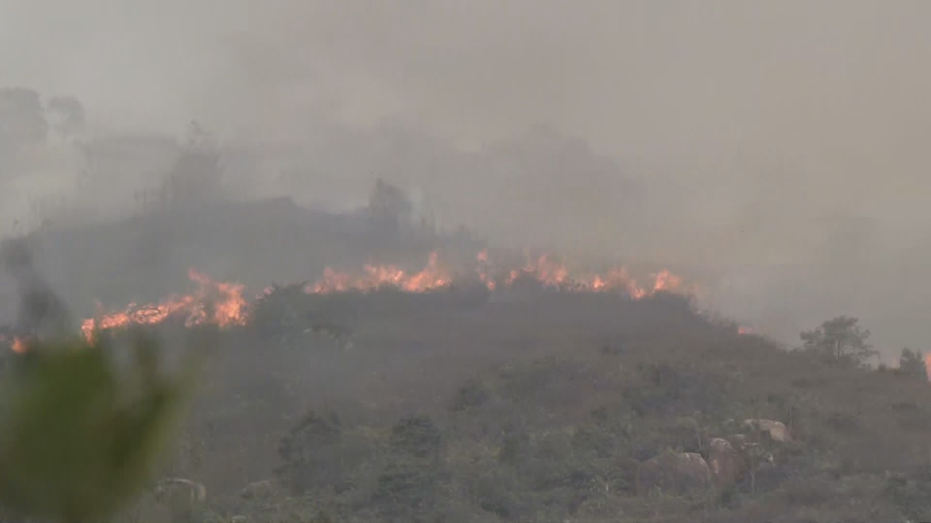 黃色火災危險警告下新界多處發生山火
