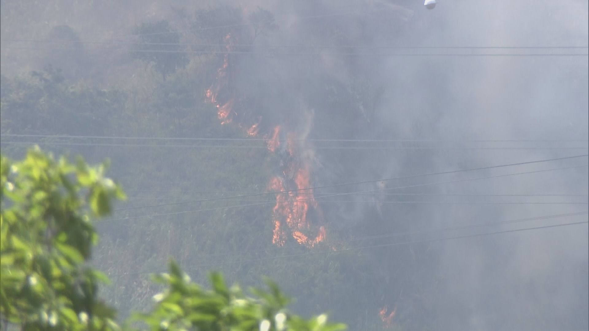 屯門山火直升機投擲水彈撲救
