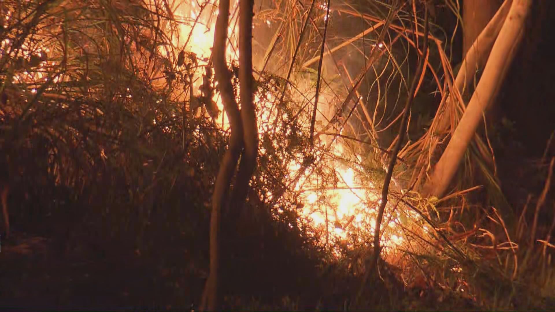 屯門青山山火焚燒逾一日仍未救熄
