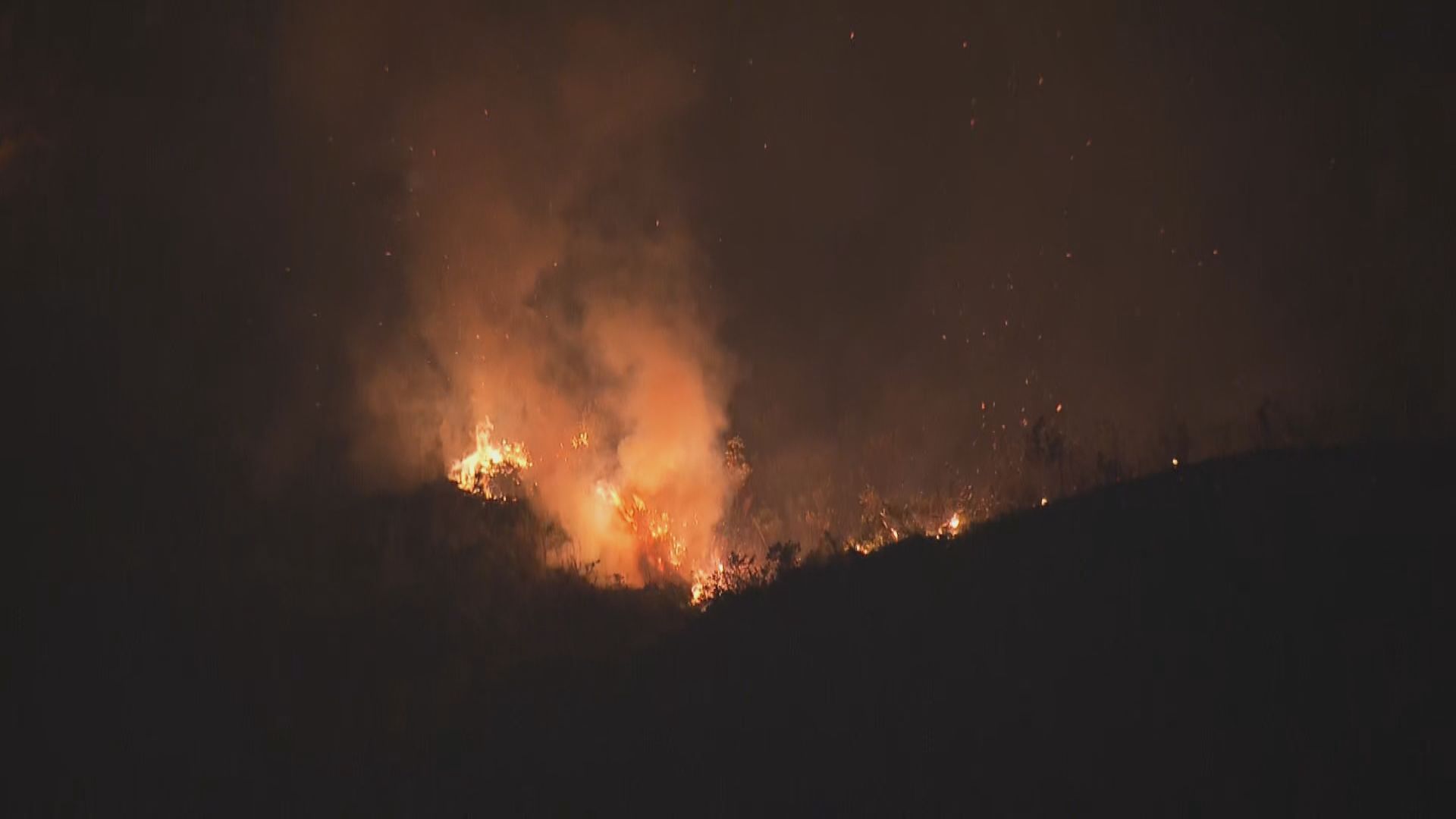 大埔汀角路山火　無人傷