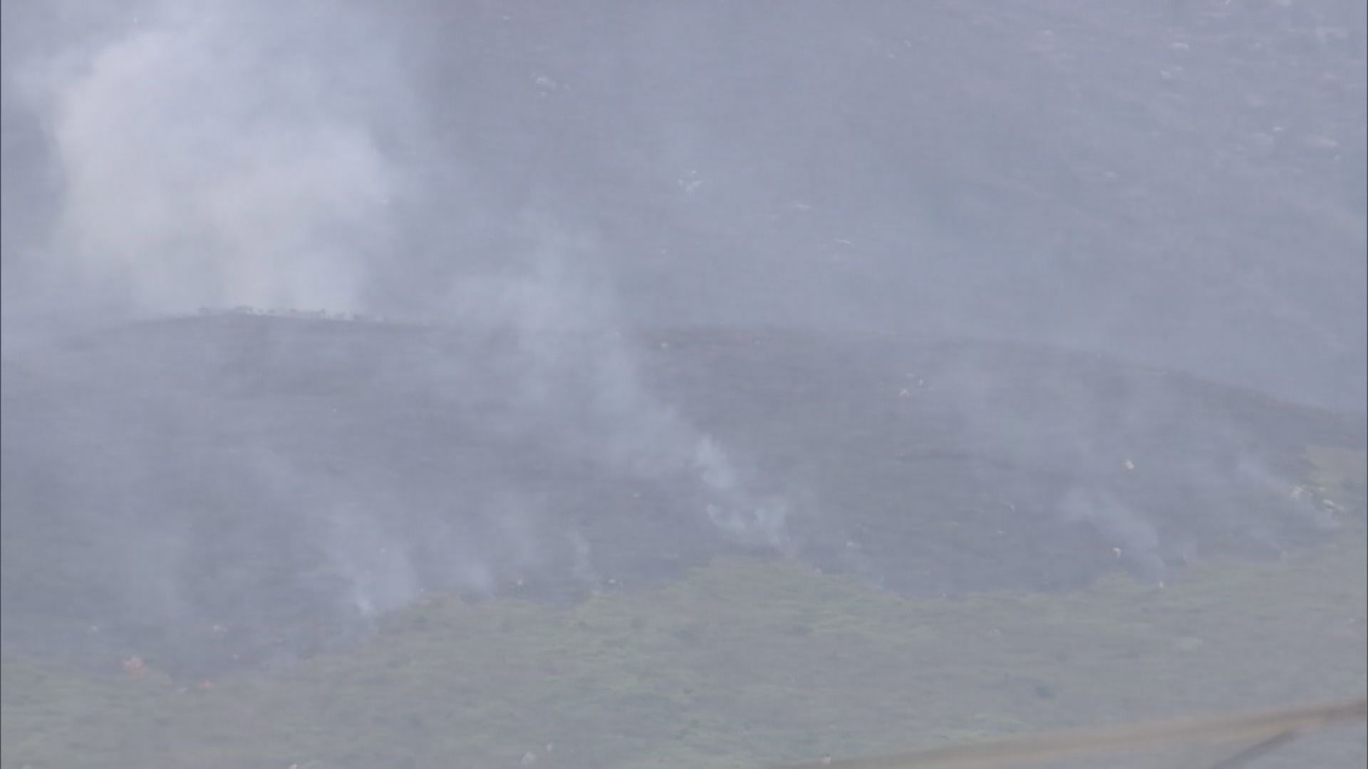 黃色火災危險警告　消防處接獲至少40宗山火報告
