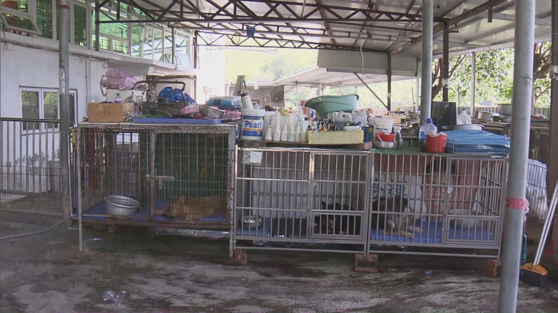 八鄉一帶山火早上約九時才完全撲熄