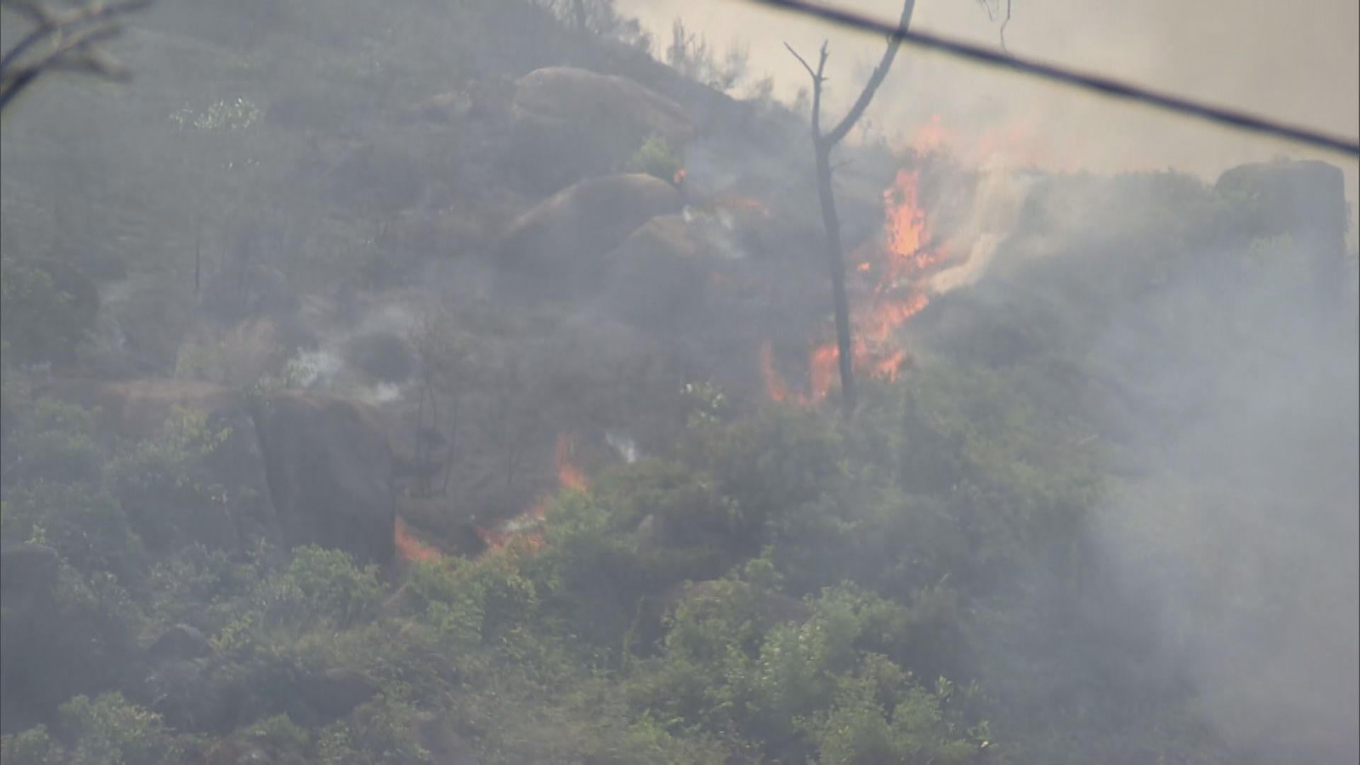 元朗大樹下西路山火　直升機投水彈協助撲救