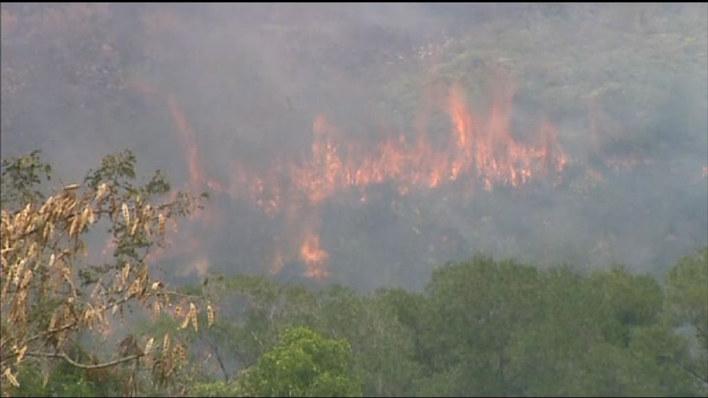 黃色火災危險警告生效　新界多處有山火
