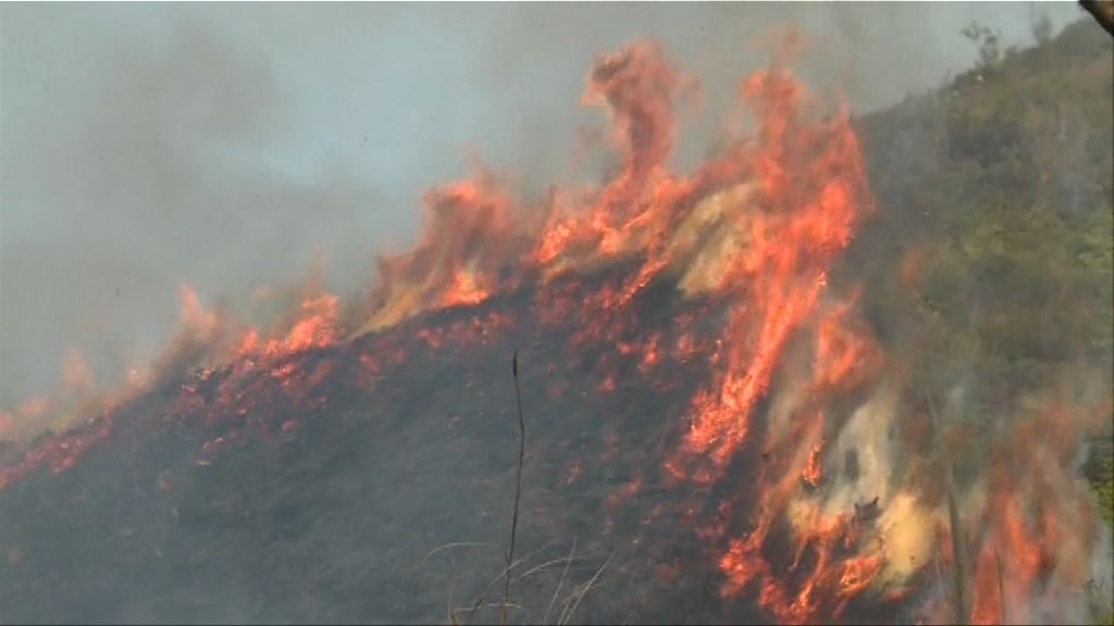 黃色火災警告　新界多處山火