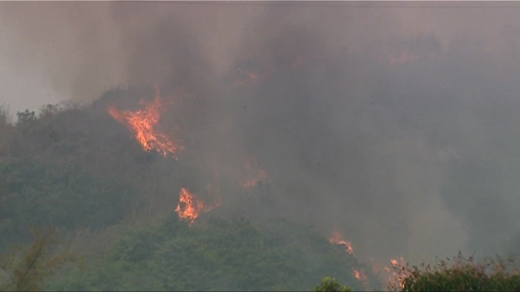 上水山火長約一百米火線