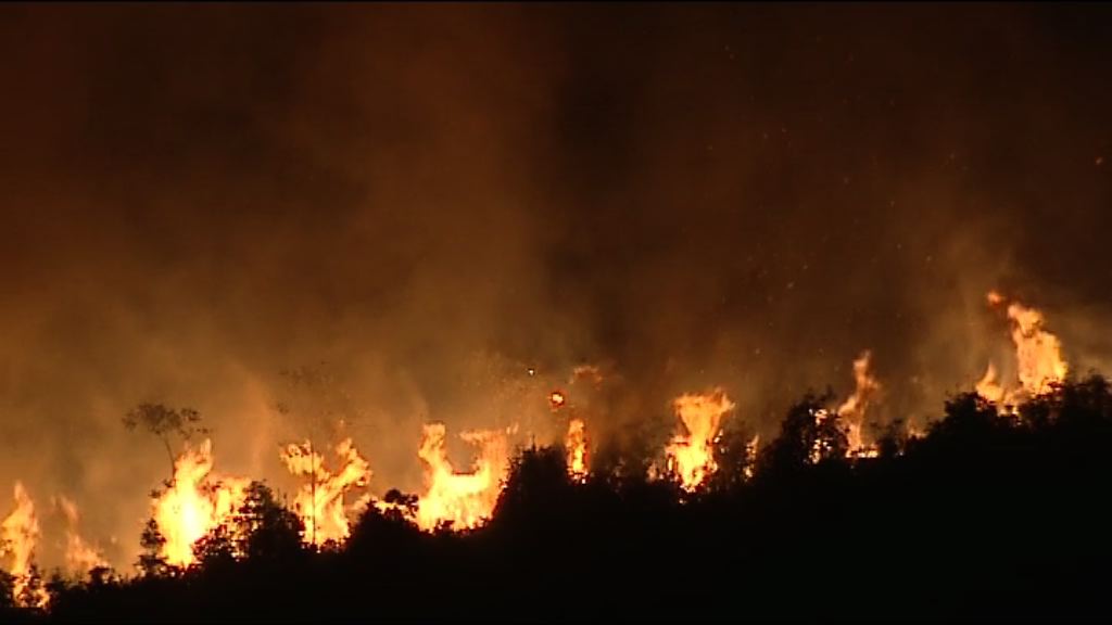小瀝源山火焚燒十多小時未熄