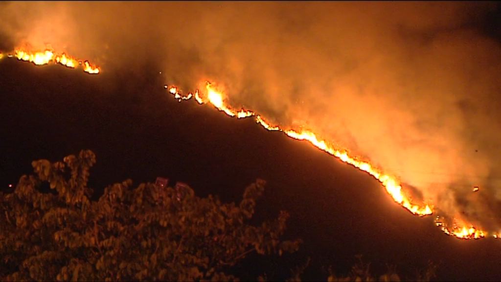 屯門菠蘿山發生山火無人傷