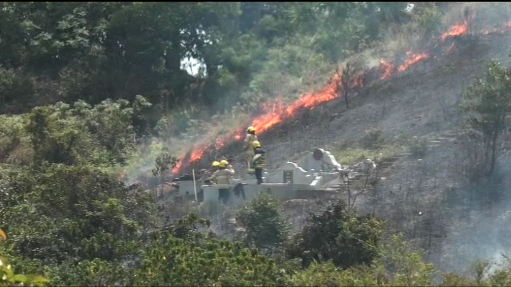 清明節　消防處接獲最少97宗山火