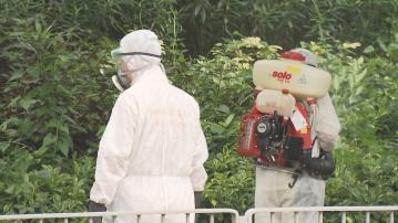 基孔肯雅熱｜內地及澳門爆發疫情　專家籲市民提高警覺防蚊