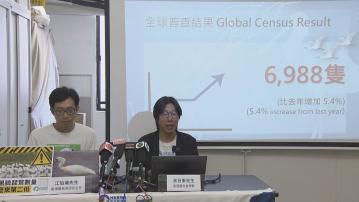 全球黑臉琵鷺數量趨穩 后海灣數量回升