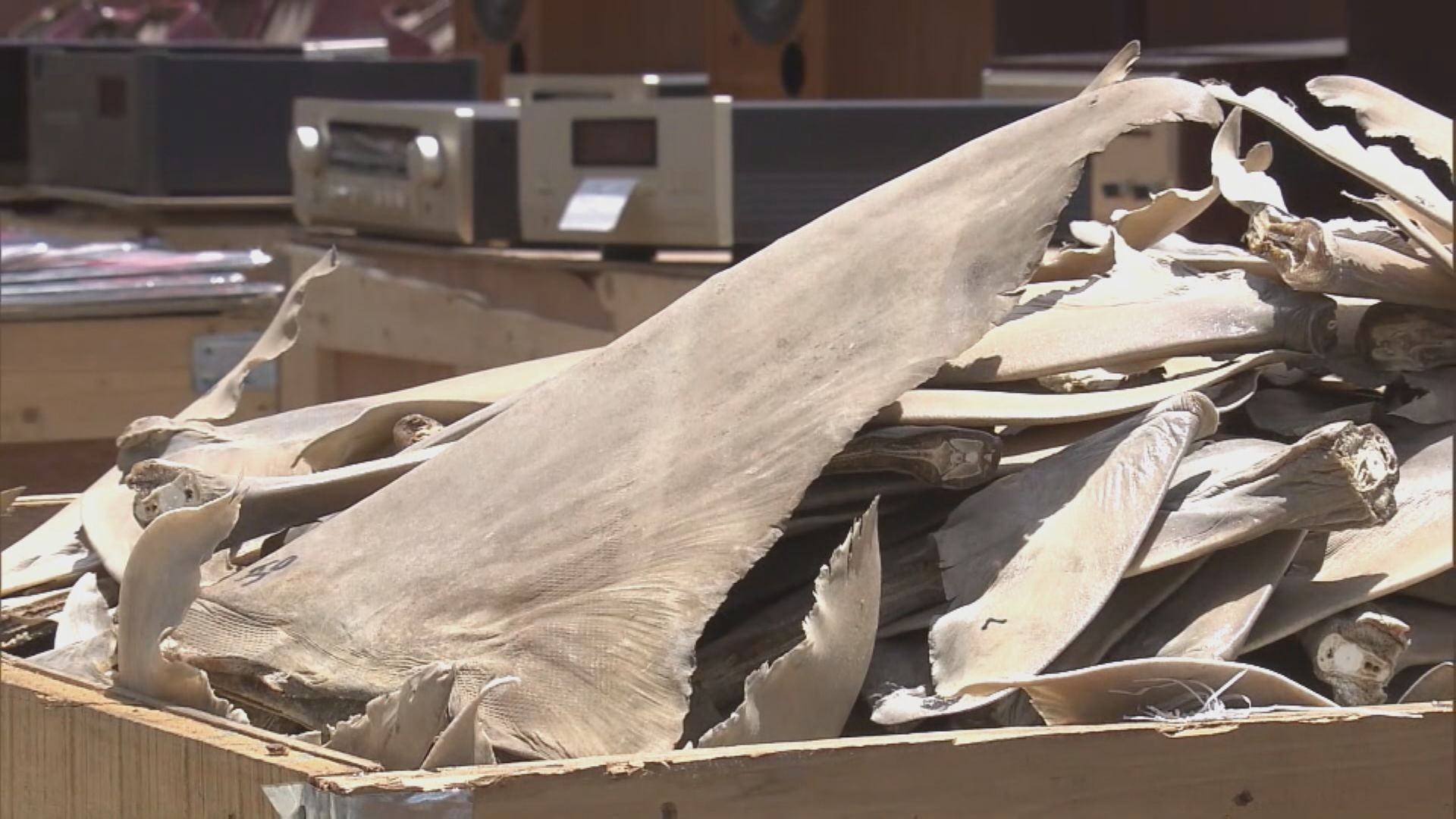 海關偵破遠洋船走私案檢獲貨值約15億