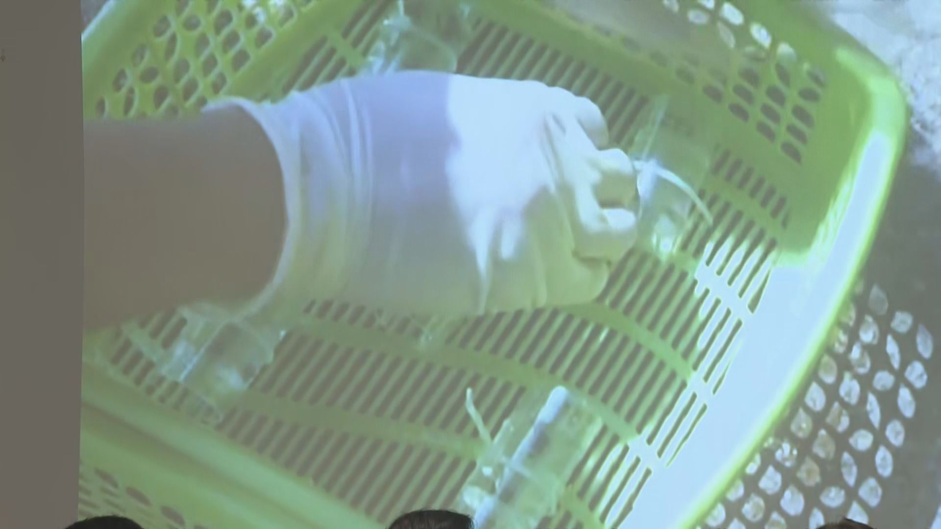 三間大學研發「人工青口」能監測海洋核污染