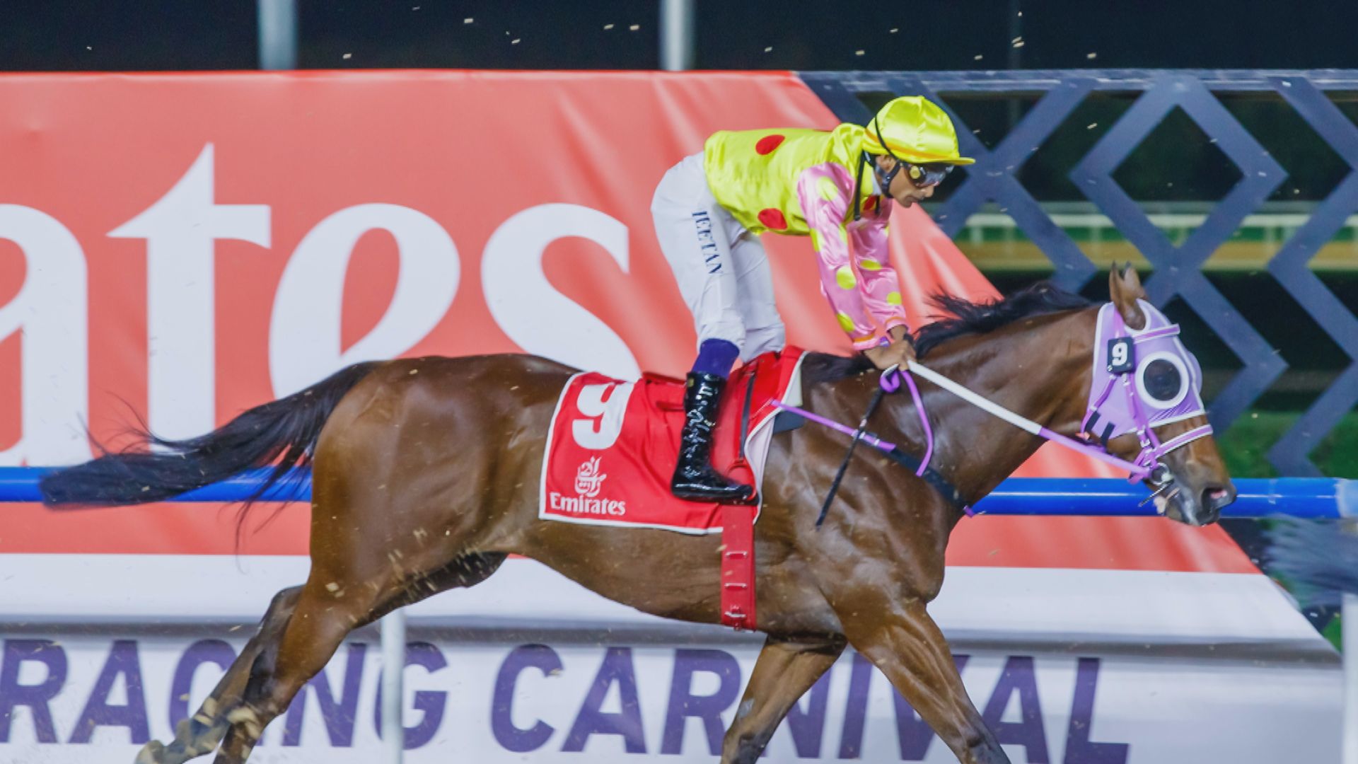 「昇瀧駒」騎師田泰安練馬師蘇偉賢滯留迪拜