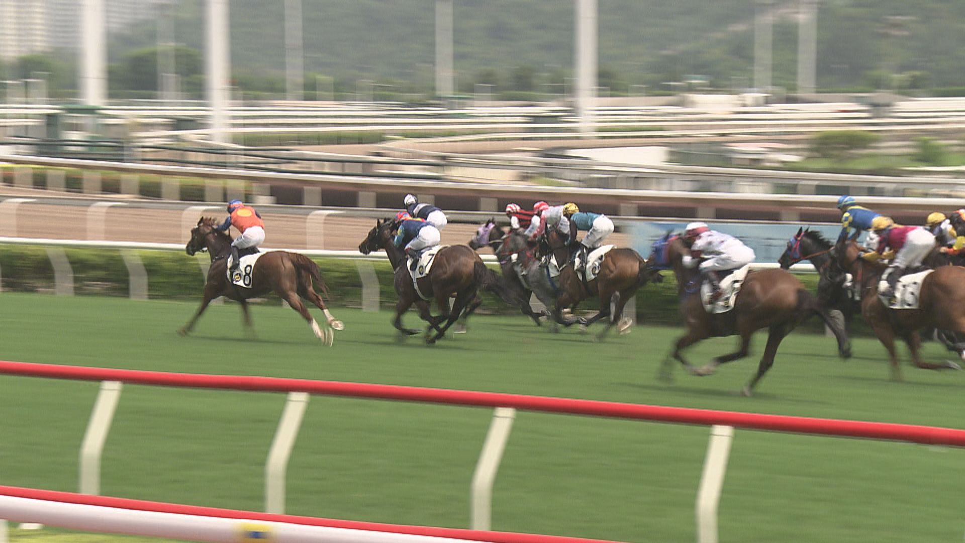 七一回歸賽馬日 市民可免費入場