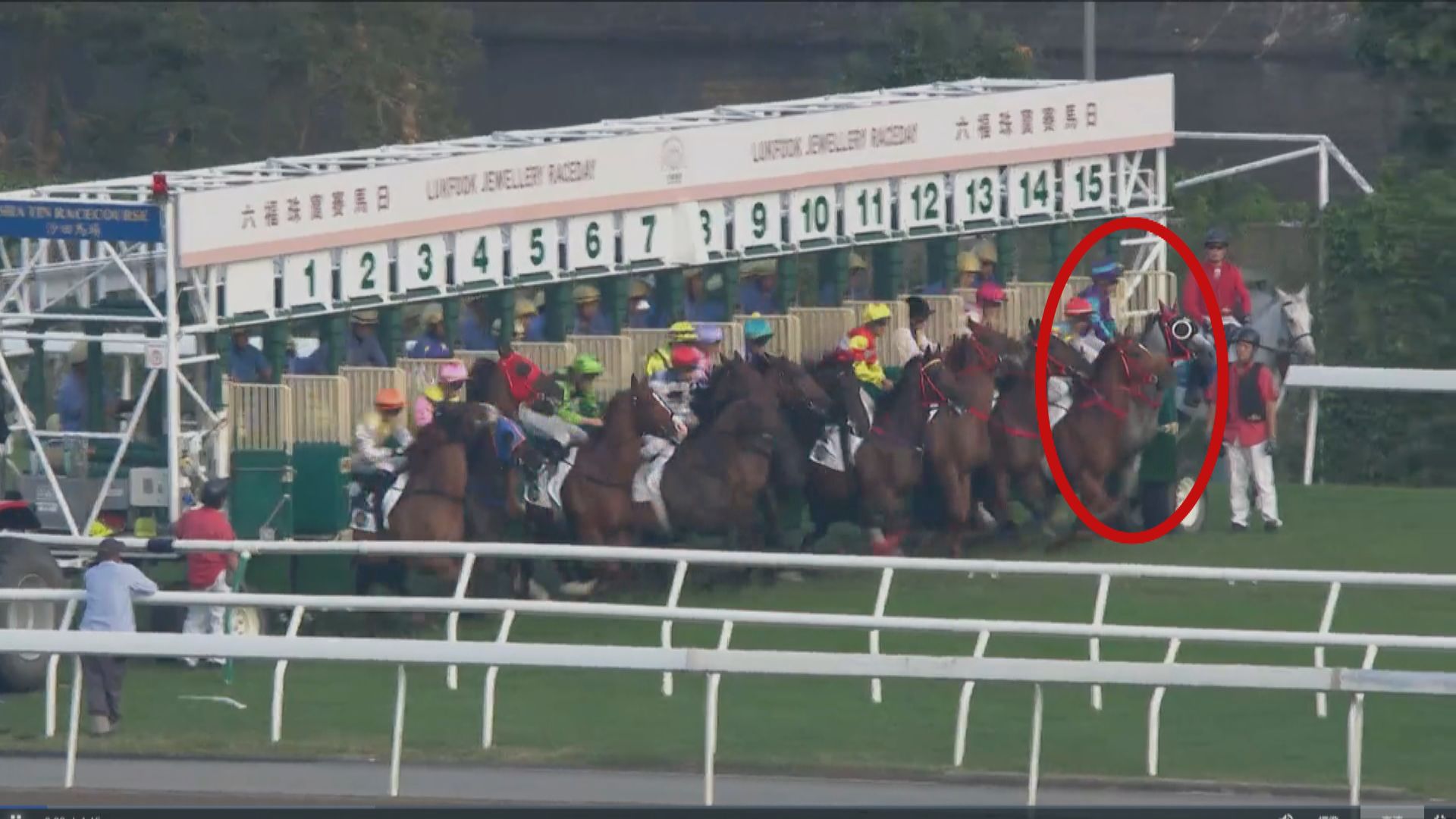 賽馬事故｜馬匹拋下騎師反方向跑　沙田第8場賽果無效退款