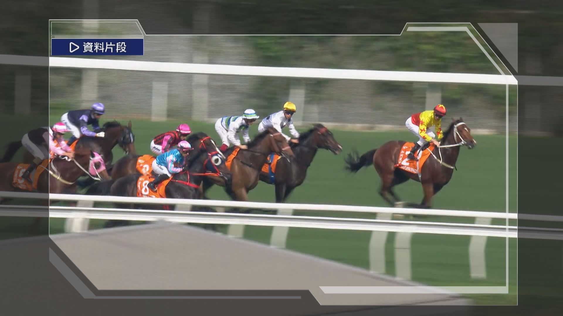 馬會因應酷熱天氣　夏季推行黃昏賽事