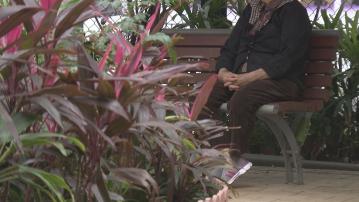 天文台周六早上發入冬首個寒冷警告 晚間急跌至12度