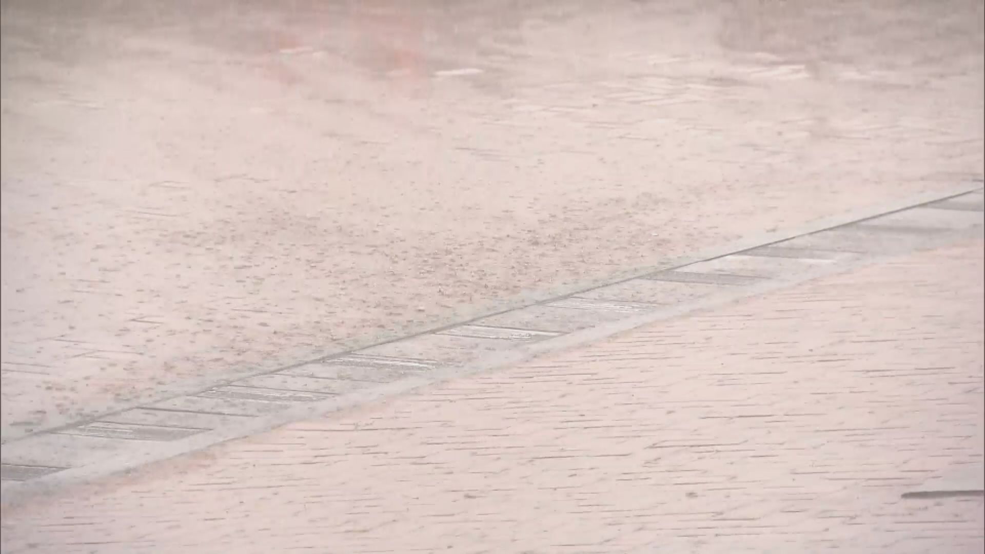 打風．塔巴襲港｜天文台：考慮今晚9時至午夜12時之間改發八號烈風或暴風信號