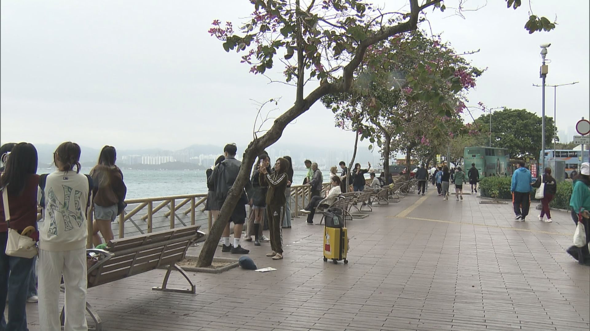 天氣｜天文台：冷鋒下周初橫過華南沿岸　或有雷暴及「石湖風」