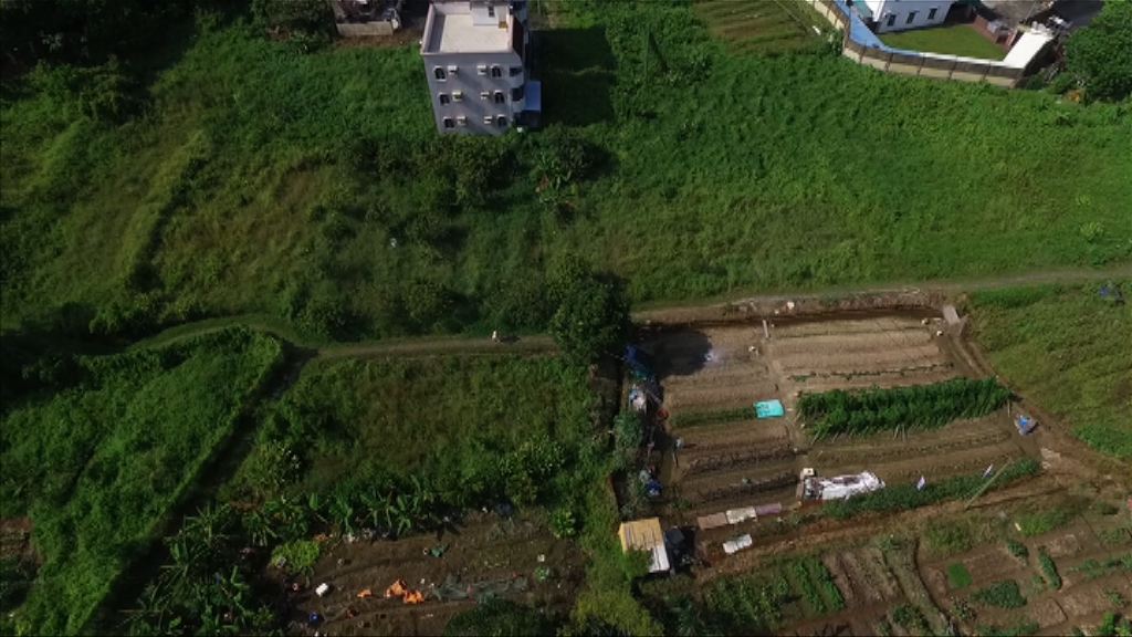 【地產股急升】美銀美林：首置盤或加快農地轉換