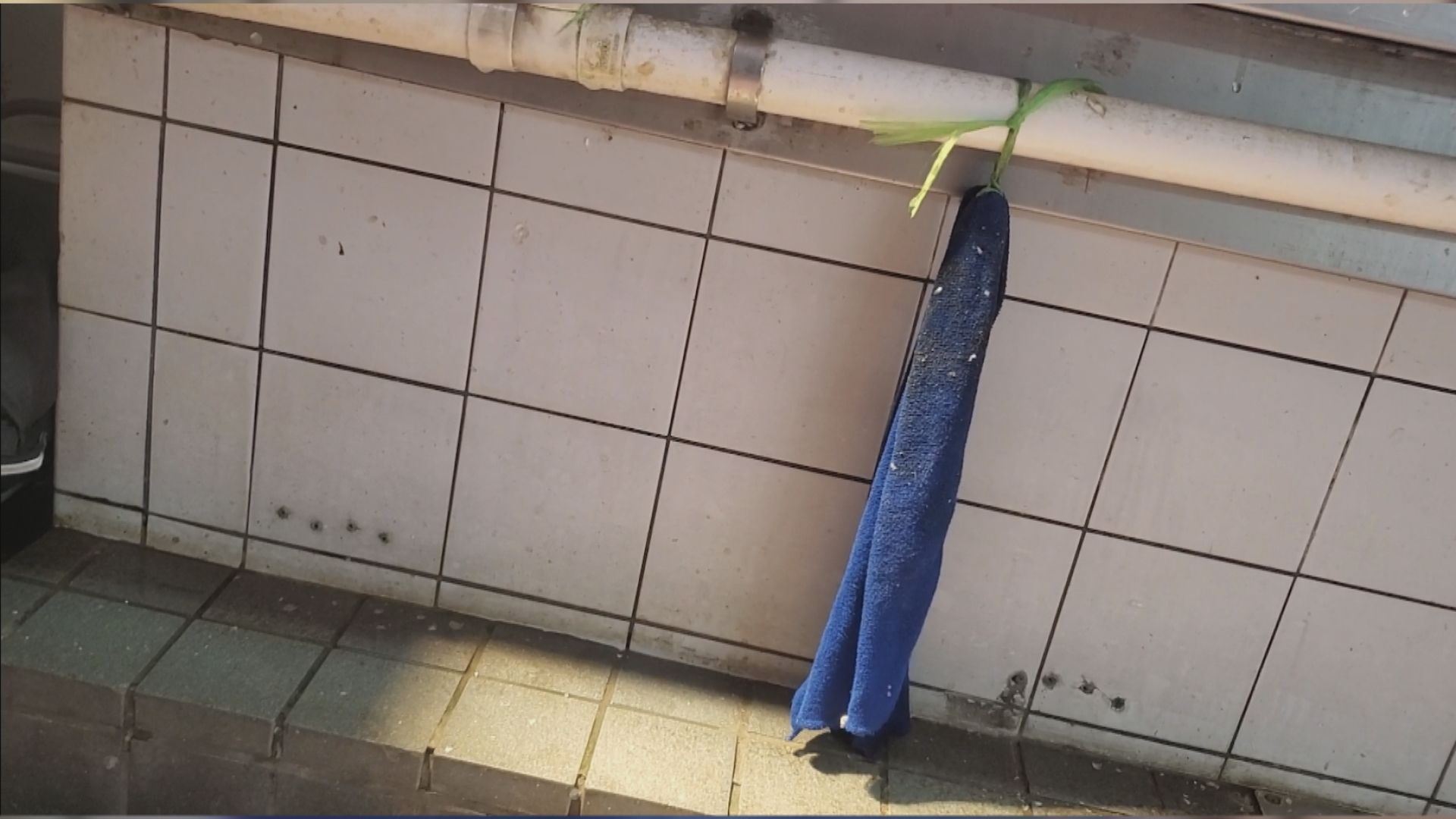 港大調查指魚販共用毛巾　袁國勇：增交叉感染風險