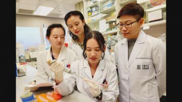 港大醫學院成功研發中和單株抗體治療腦缺血中風