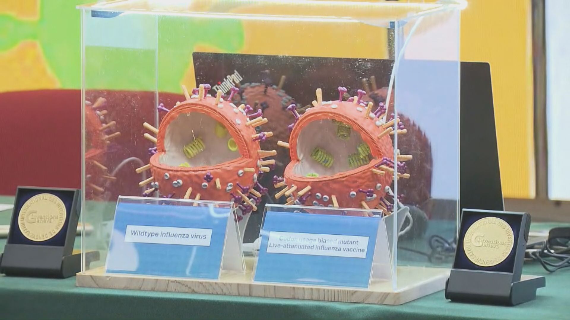 港大醫學院開發無針接種流感疫苗　更廣泛防範流感及禽流感