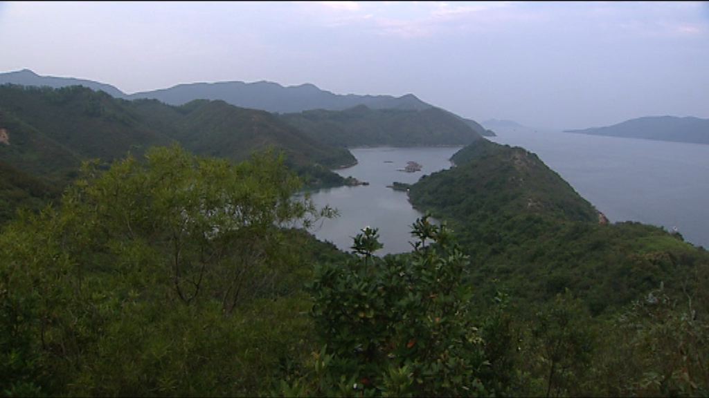 港大研究倡政府恢復大規模填海