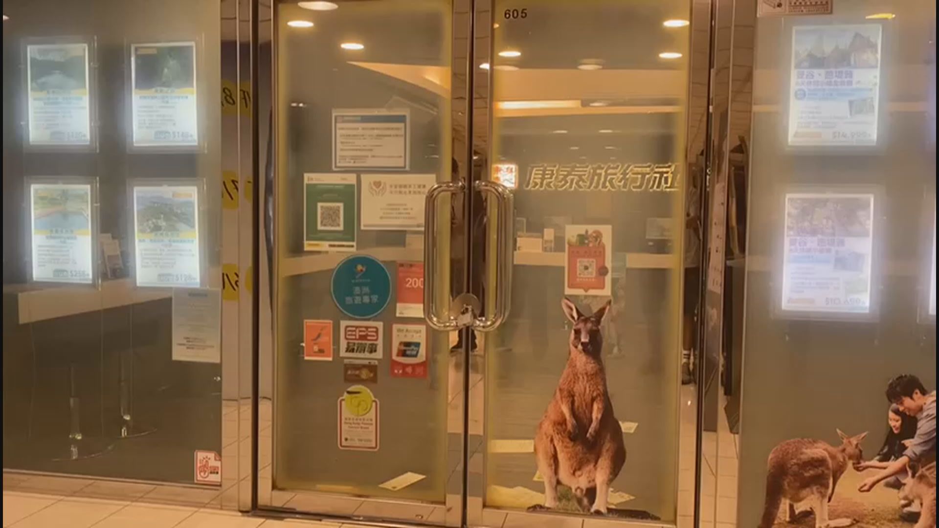 康泰旅行社資不抵債　啟動清盤程序