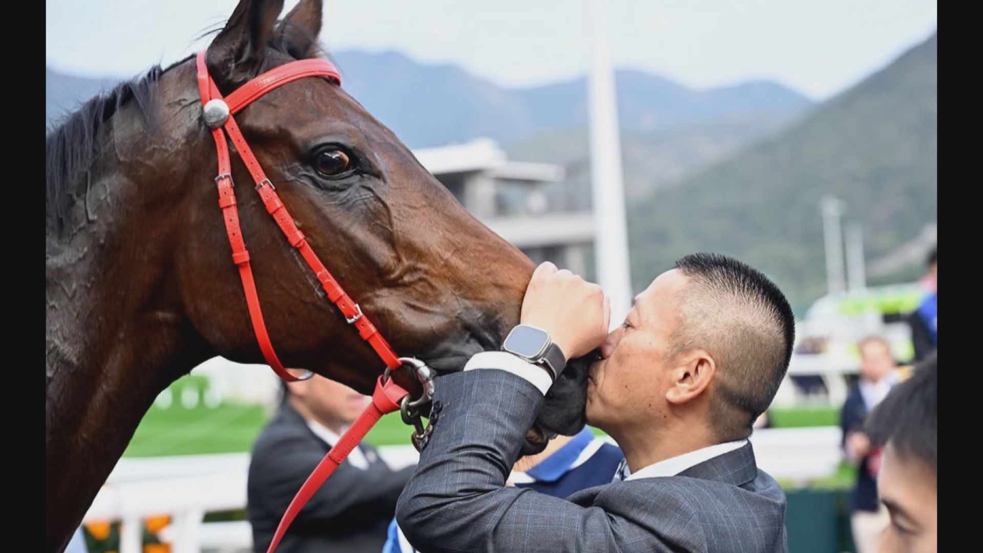 馬王「浪漫勇士」因傷退役　未來三個月留從化馬場監察