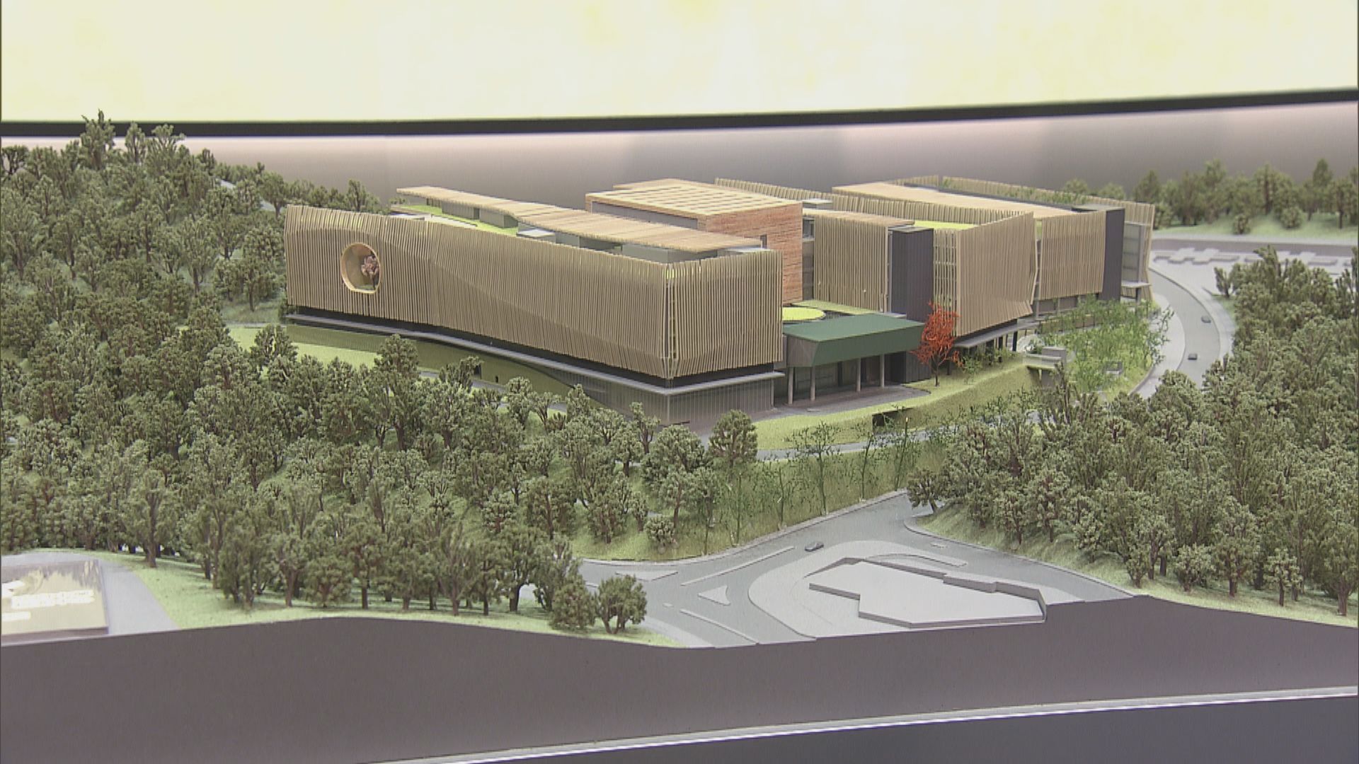 本港首間中醫醫院籌備開院　浸大承辦料2025年落成