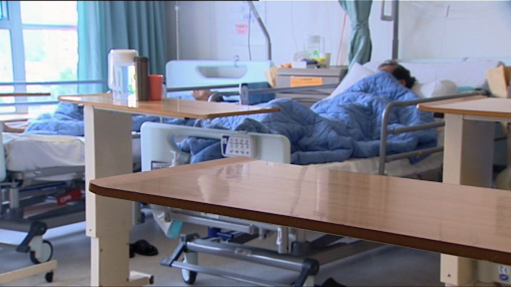 抗藥性腸桿菌去年確診多1.5倍