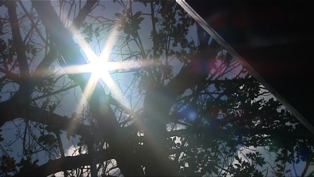 天文台錄得33.6度　72年來最熱佛誕日